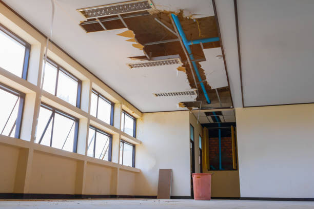 Best Basement water damage restoration  in Dansville, NY