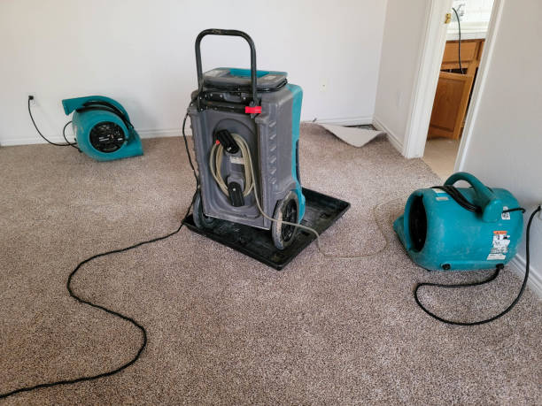 Best Water damage contractors near me  in Dansville, NY
