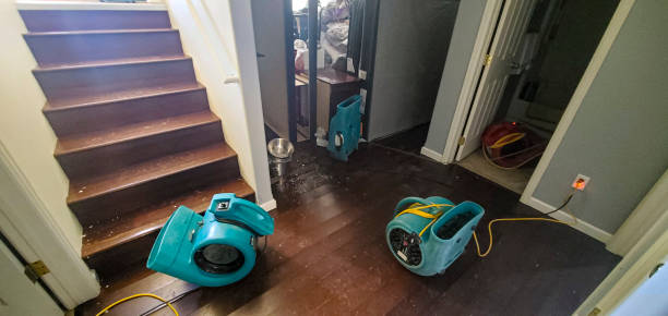 Best Flood restoration services  in Dansville, NY