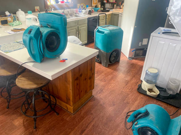 Best 24-hour water damage restoration  in Dansville, NY