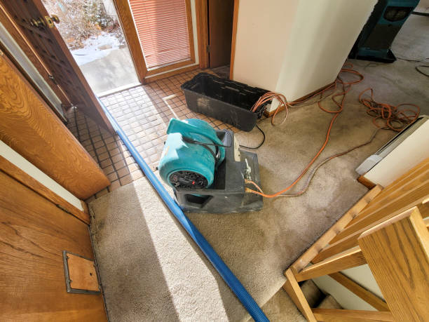 Best Residential water damage restoration  in Dansville, NY
