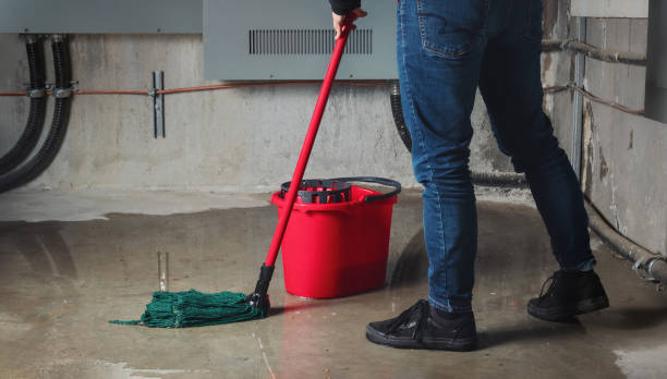 Best Local water damage restoration  in Dansville, NY