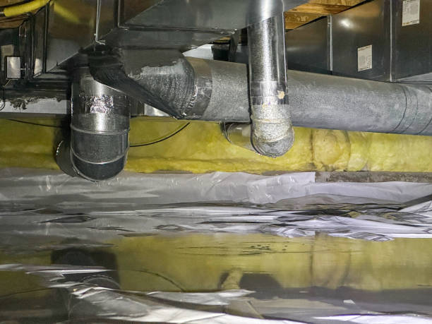 Best Water damage repair service  in Dansville, NY