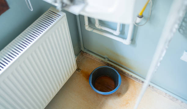 Best Mold removal after water damage  in Dansville, NY