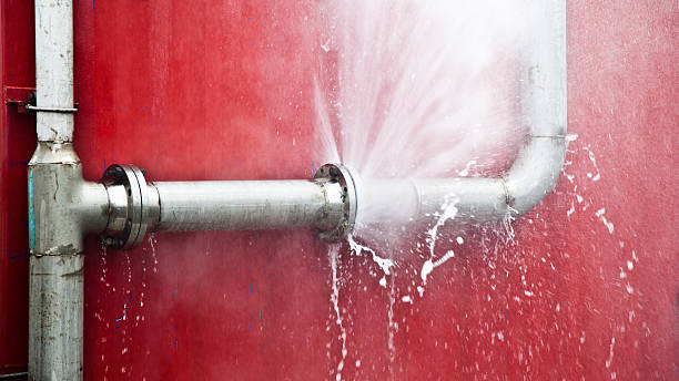 Best Water damage restoration near me  in Dansville, NY