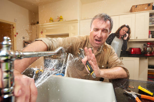 Best Fire Damage Restoration  in Dansville, NY